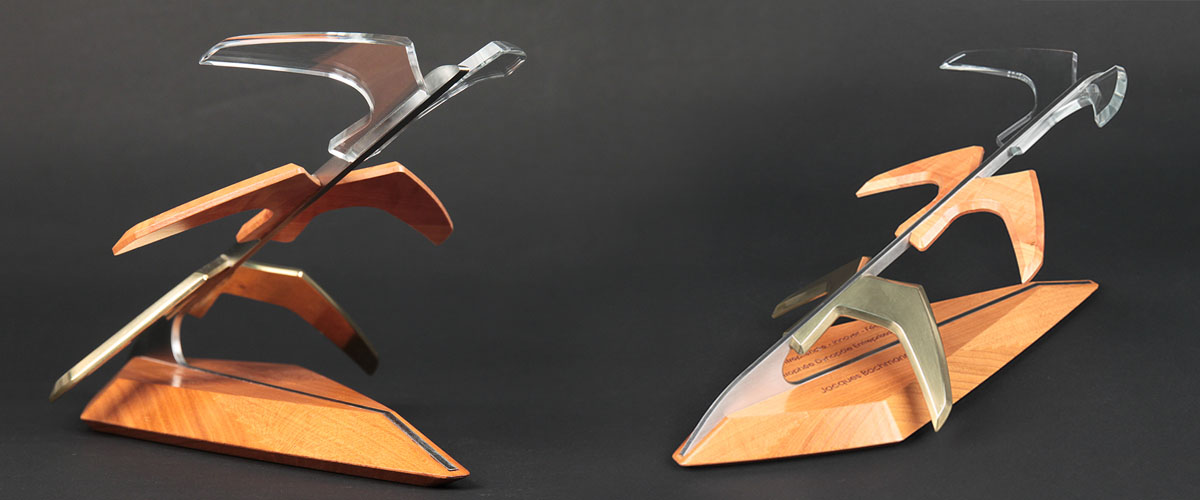 Trophée dynapôle Ludres